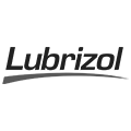 Webtrends client: Lubrizol